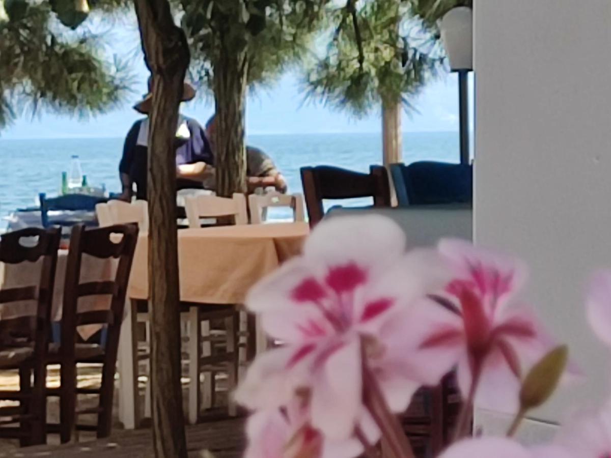 Look To The Sea Nea Karvali Villa Dış mekan fotoğraf
